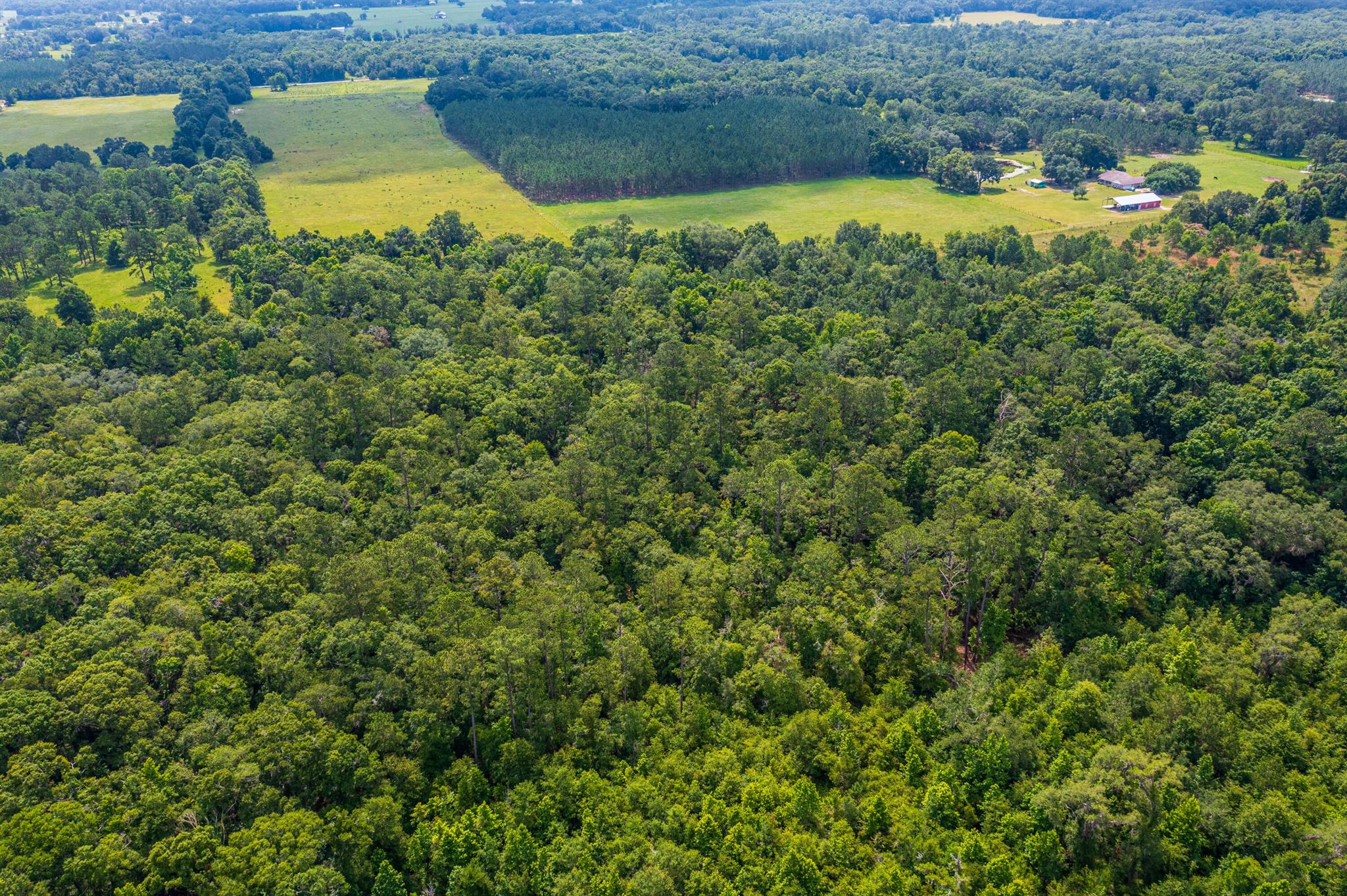Greater Wellborn area - Land