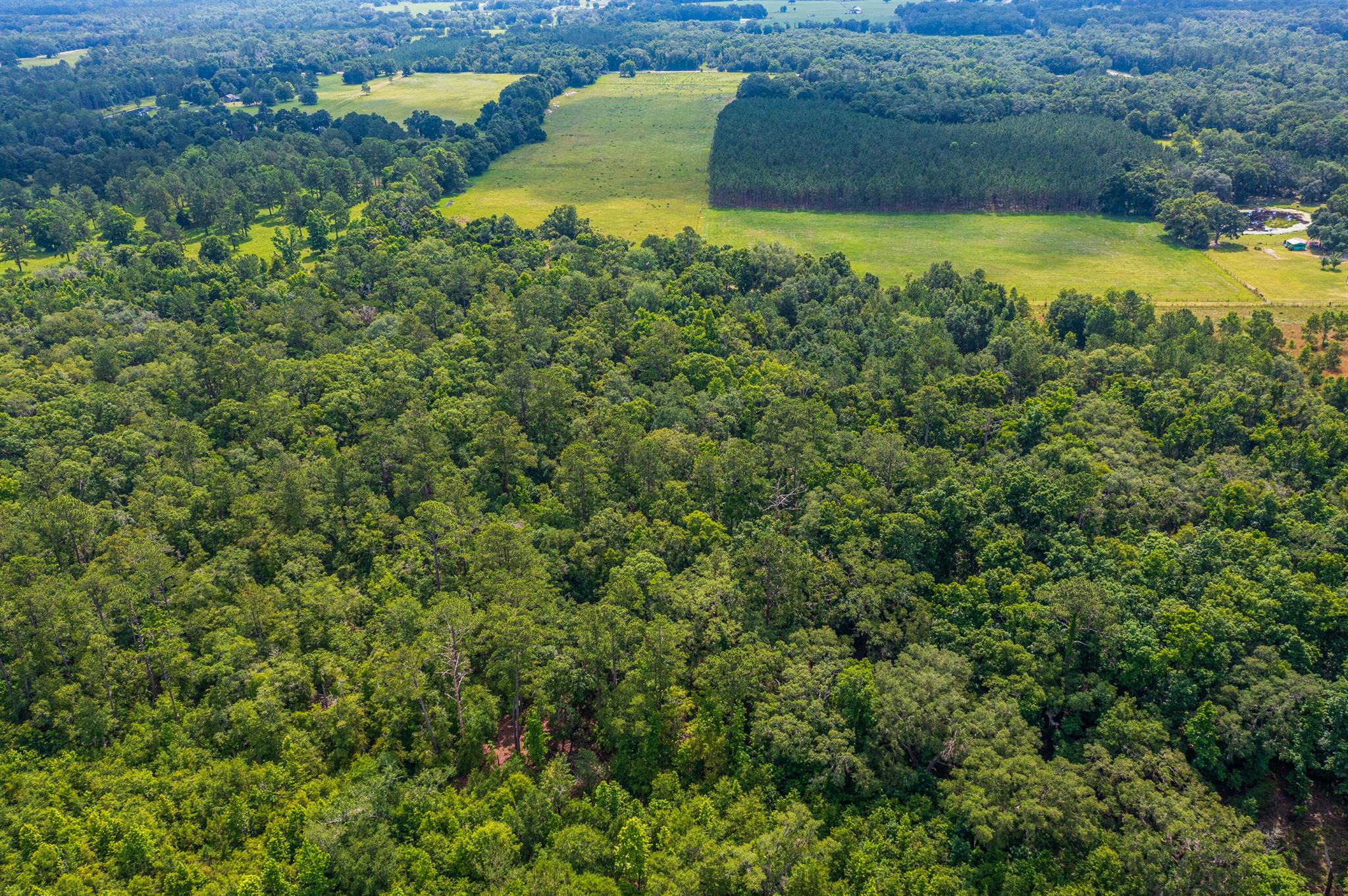 Greater Wellborn area - Land