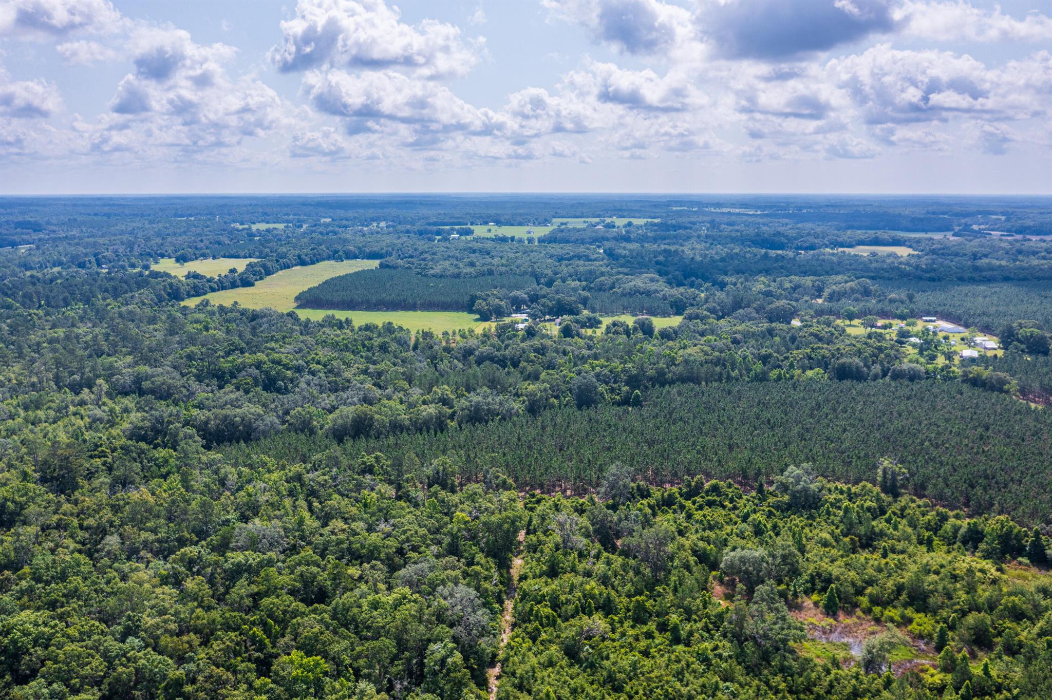 Greater Wellborn area - Land