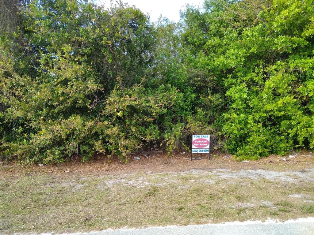 Photo of 4252 SW Darien Street, Port St Lucie, FL 34957 (MLS # R10891878)