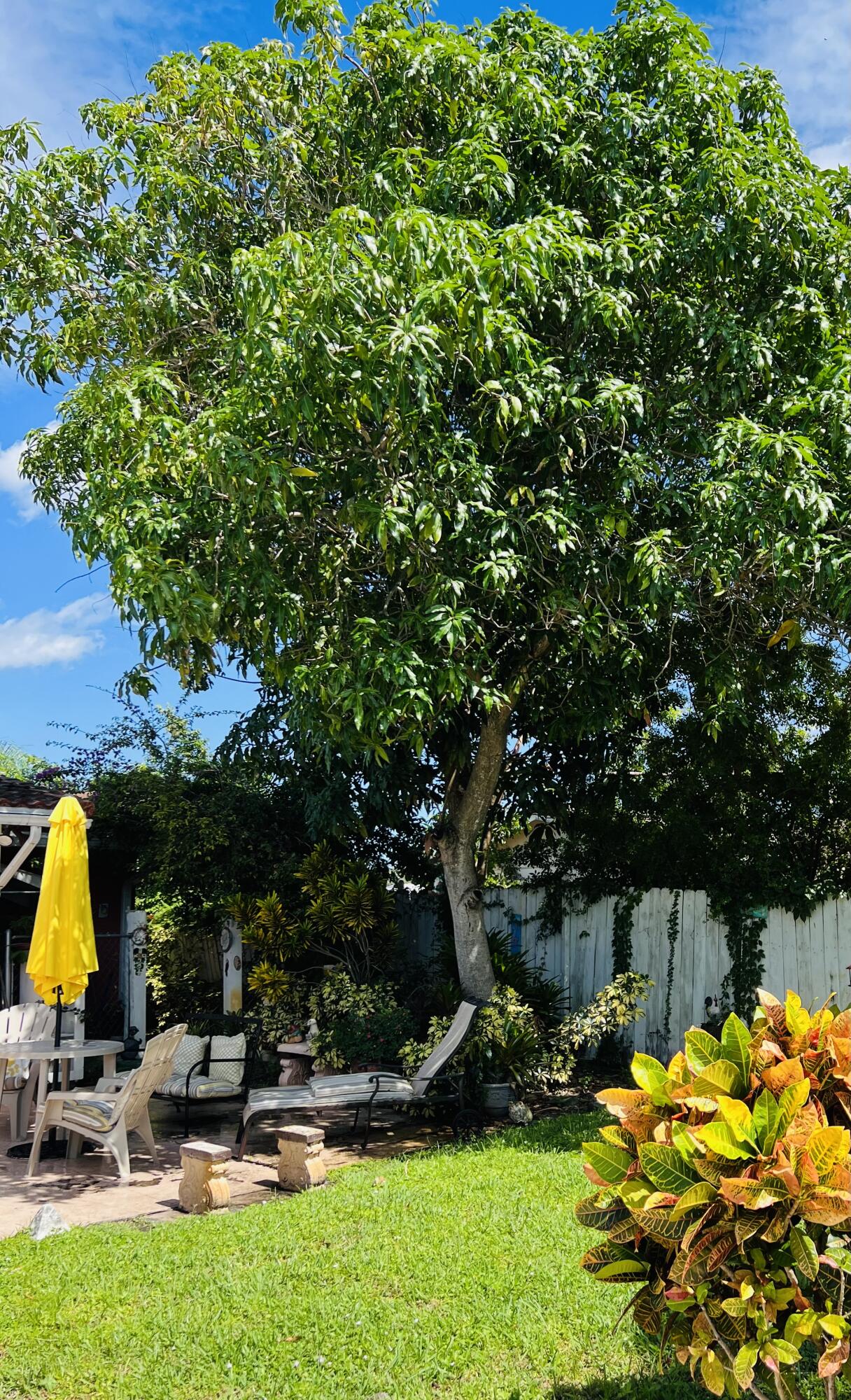 BARWAL 2ND SEC - Residential