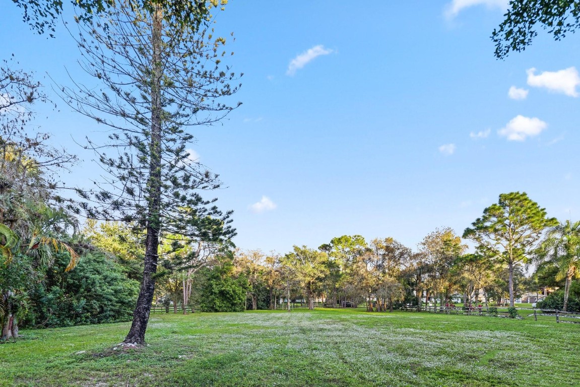 Pine Tree Estates - Land