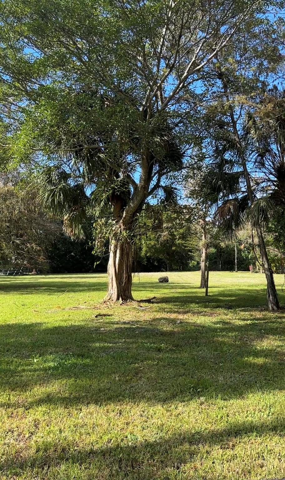 Pine Tree Estates - Land