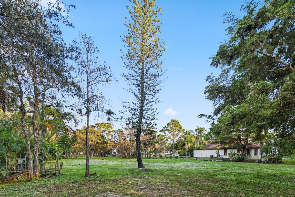 Pine Tree Estates - Land