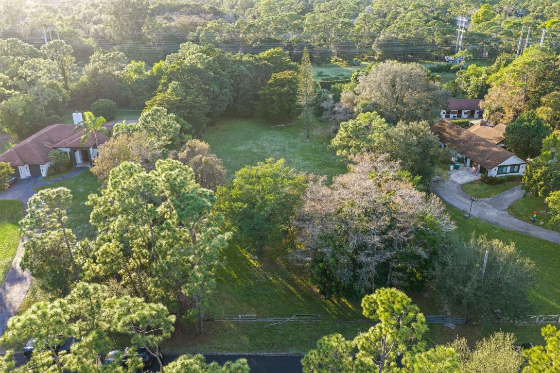 Pine Tree Estates - Land