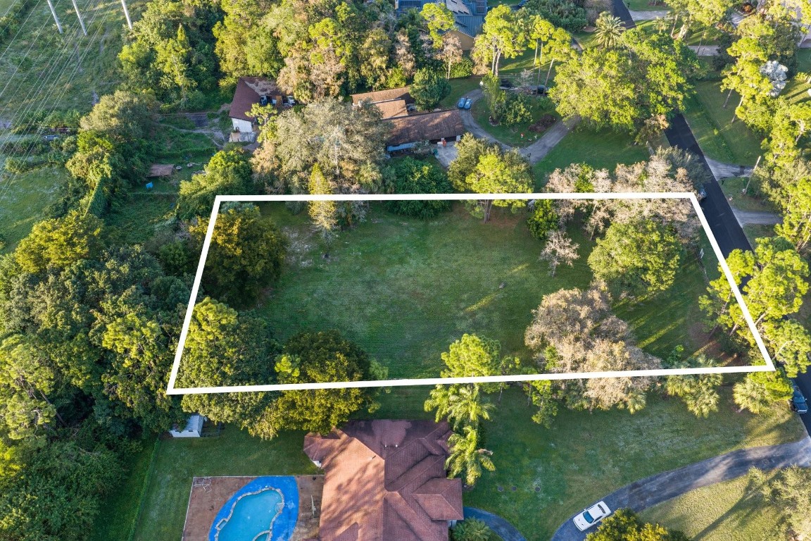 Pine Tree Estates - Land