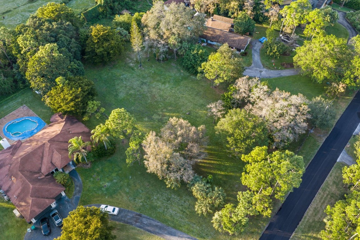 Pine Tree Estates - Land