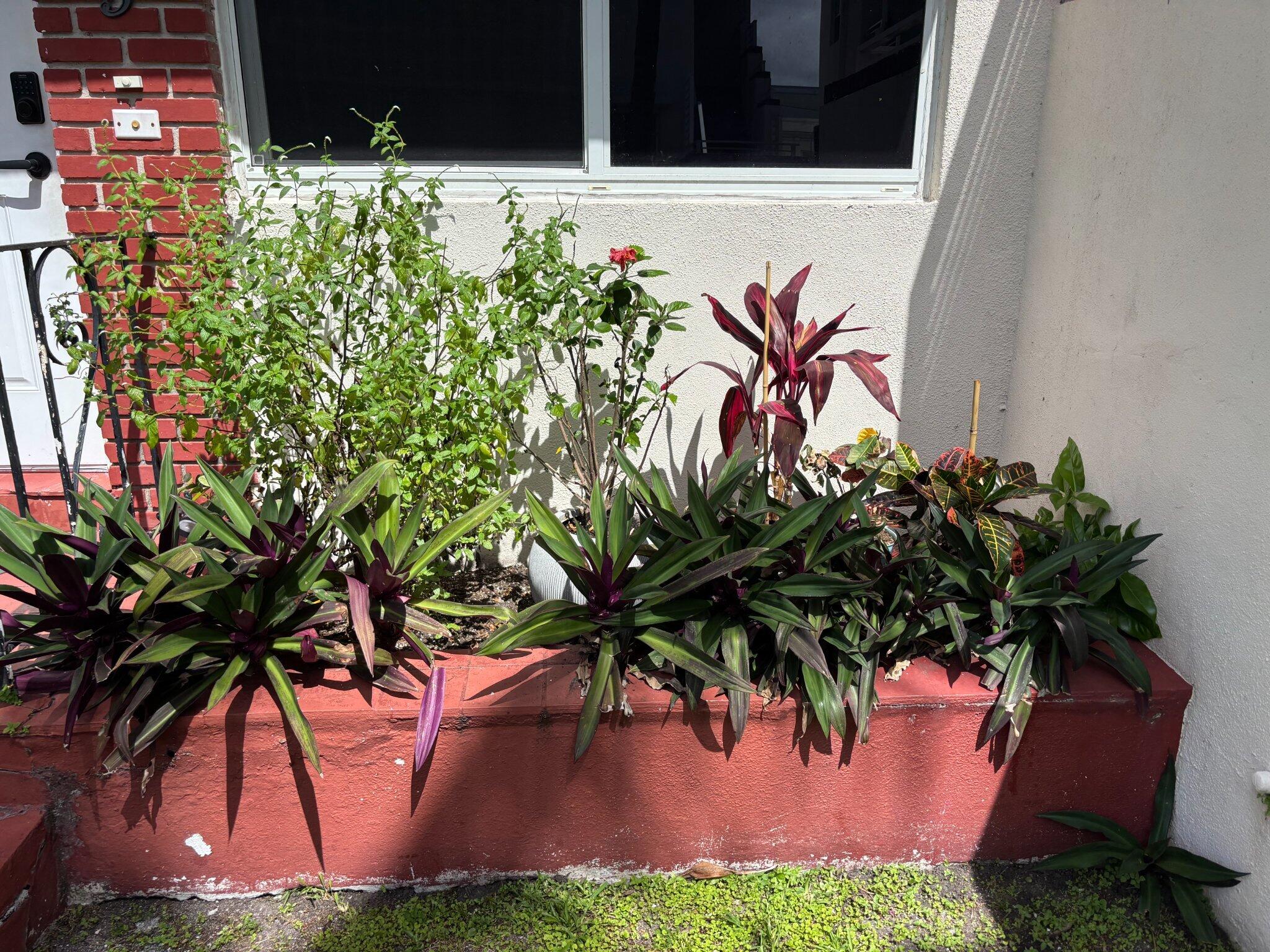 1195 Marseille Drive 5