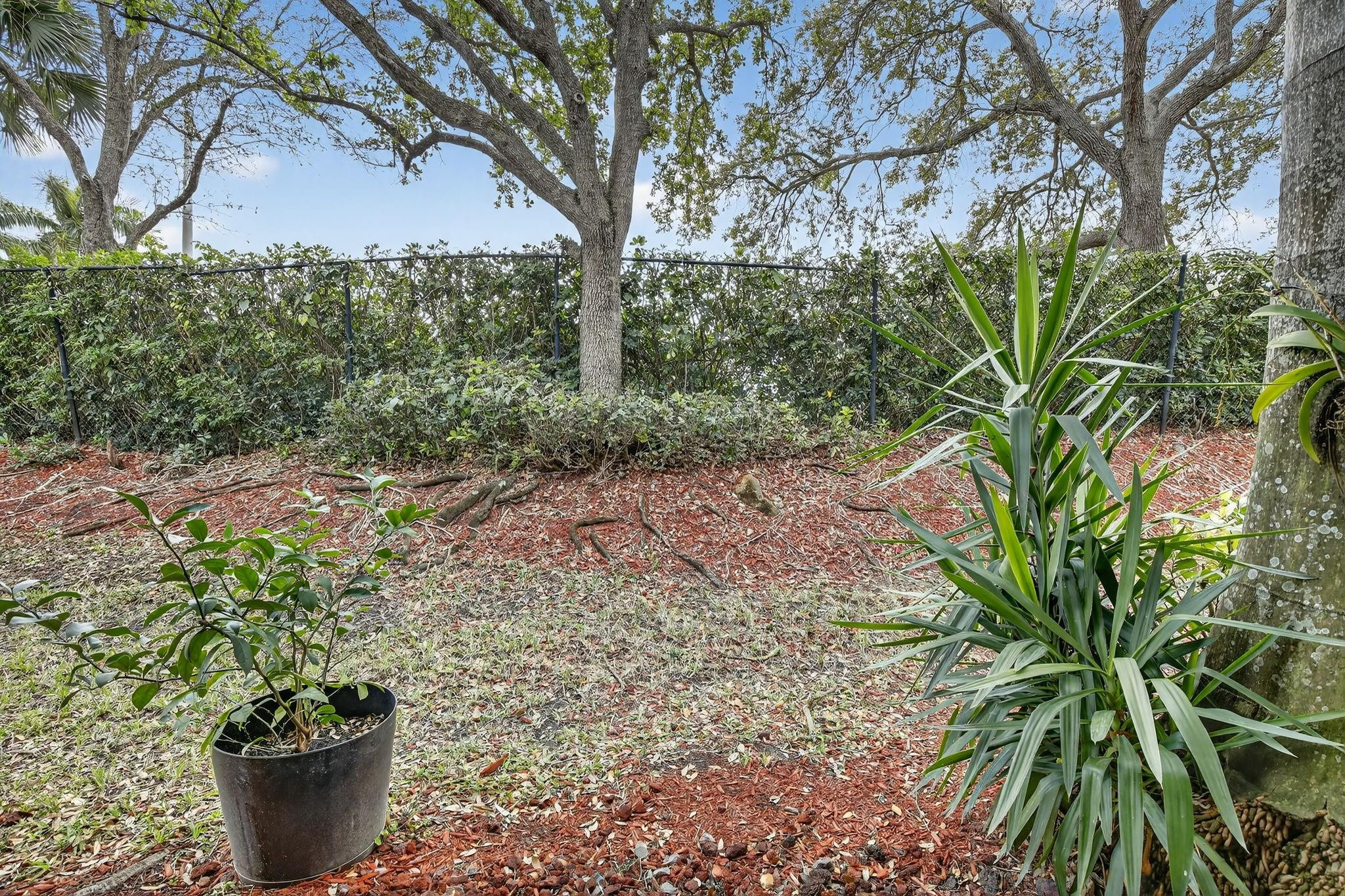 Courtyard at the Grove - Residential