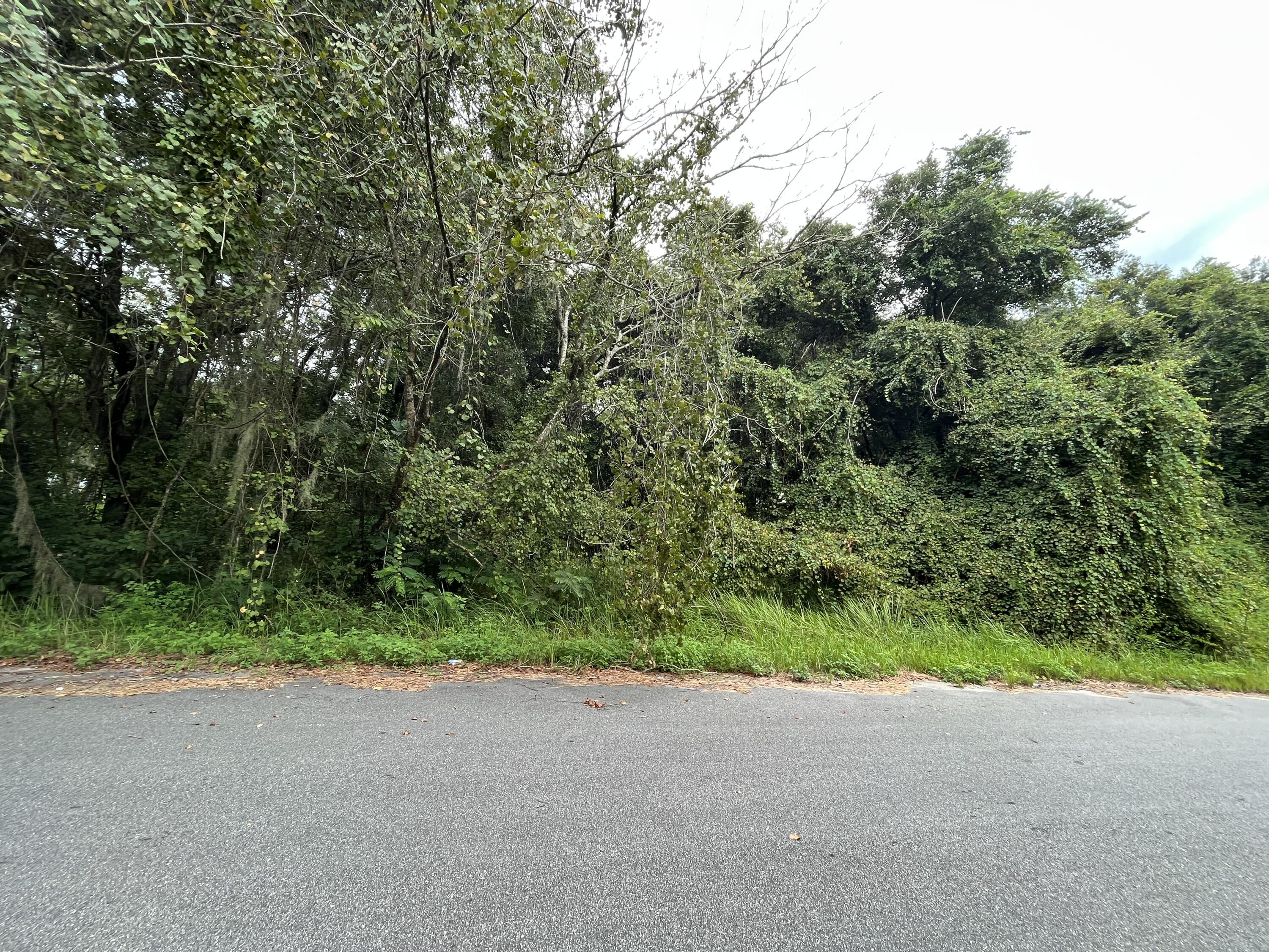 SILVER SPRINGS SHORES 28 - Land