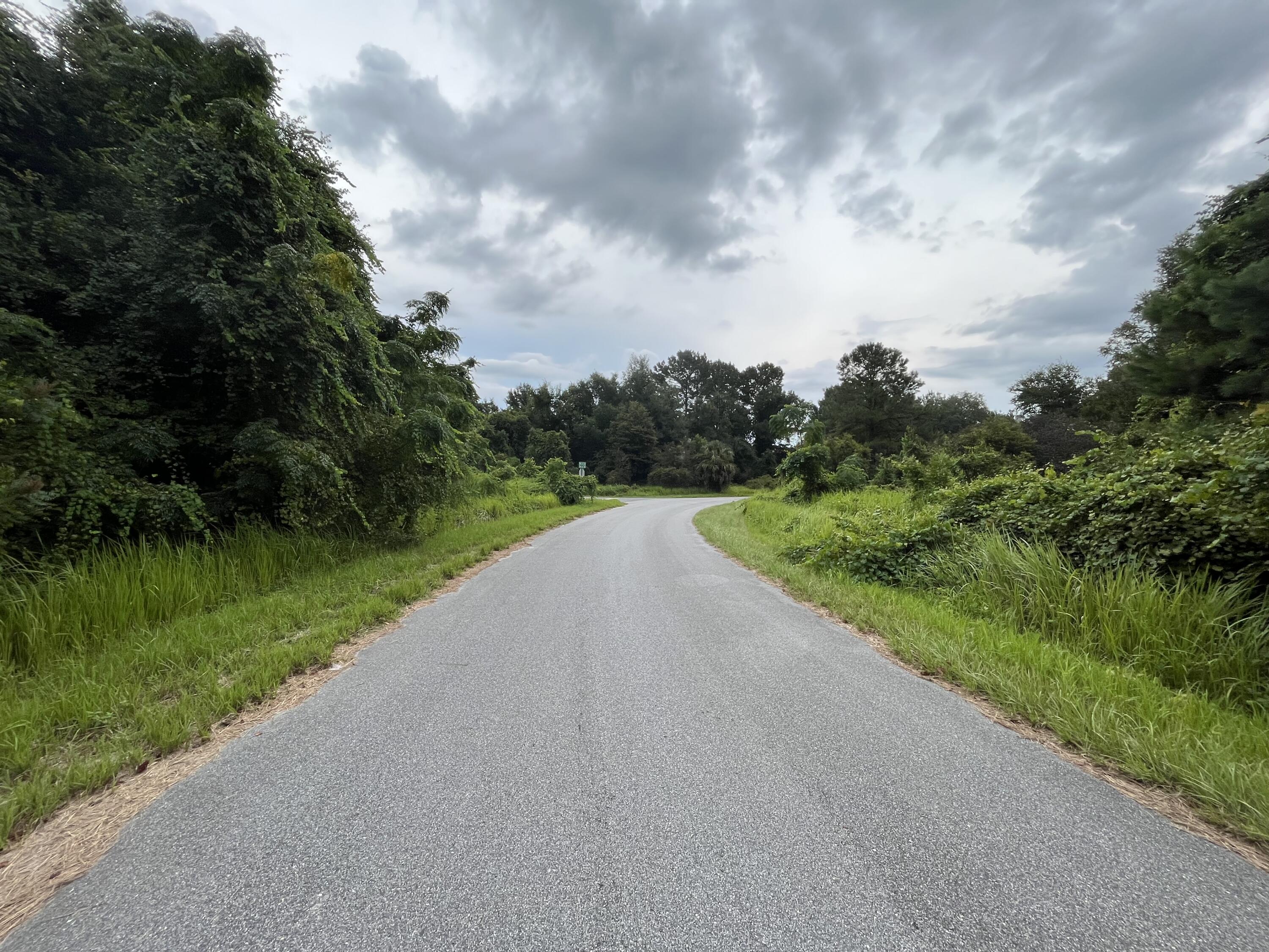 SILVER SPRINGS SHORES 28 - Land