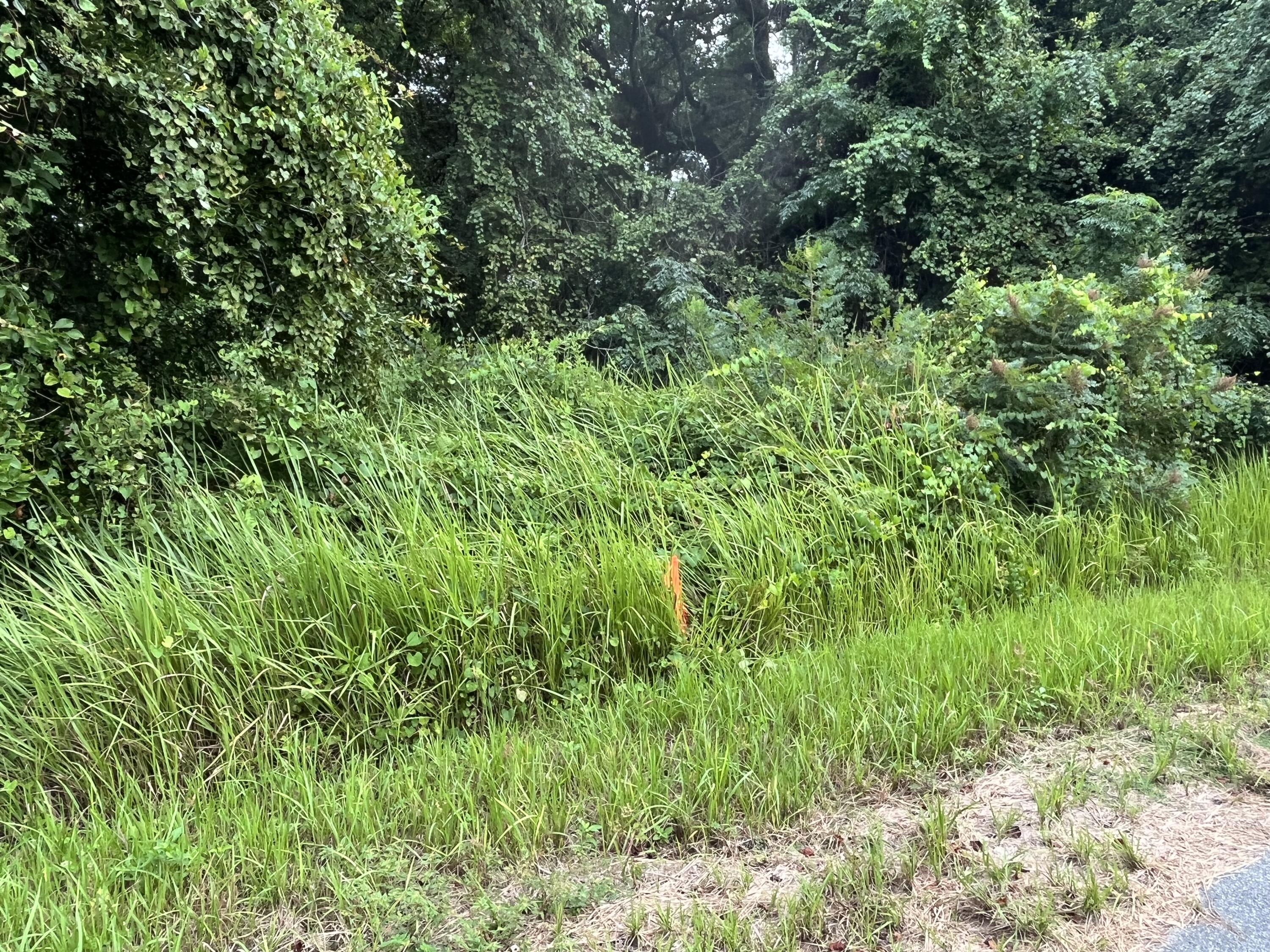 SILVER SPRINGS SHORES 28 - Land