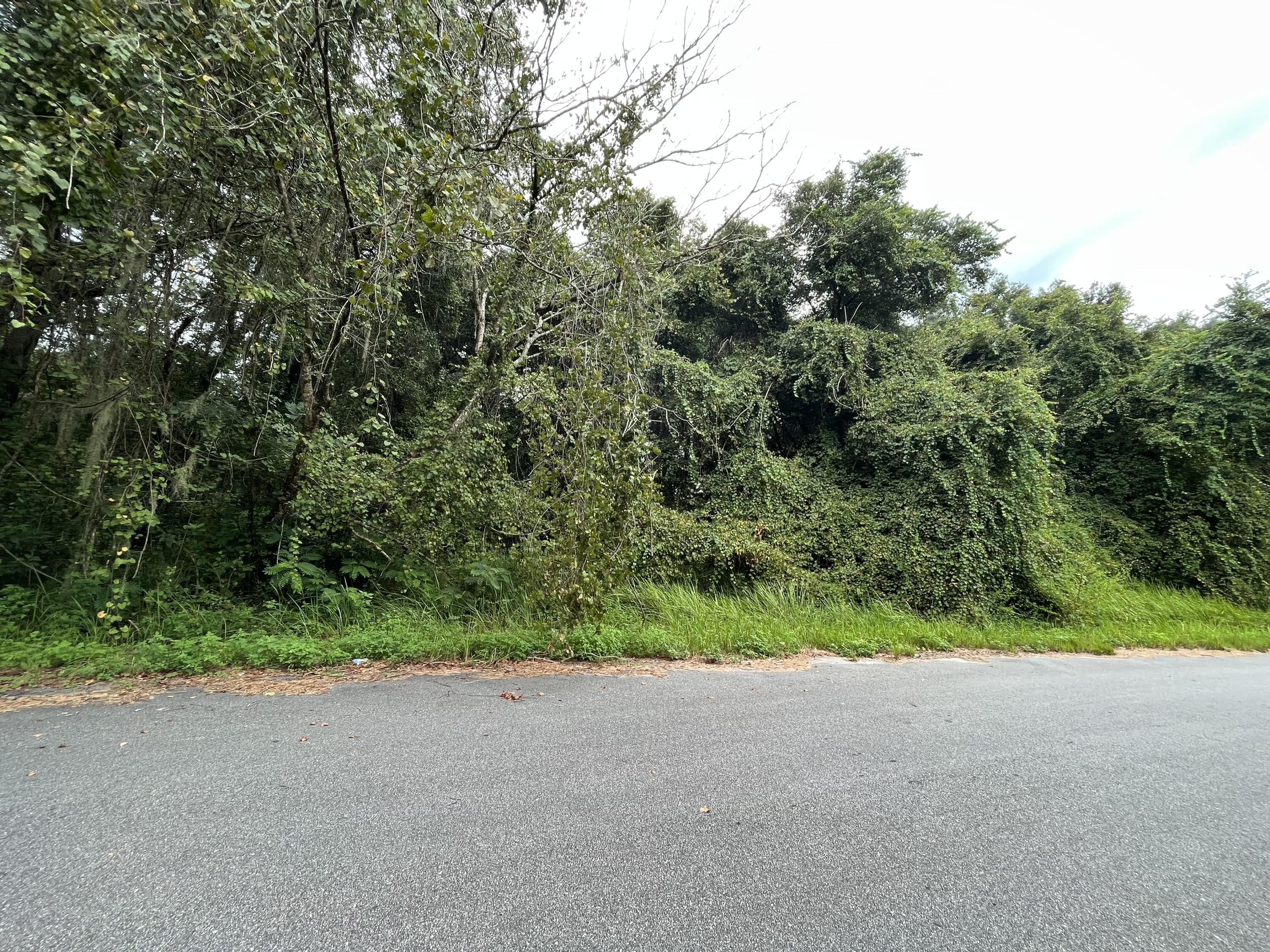 SILVER SPRINGS SHORES 28 - Land