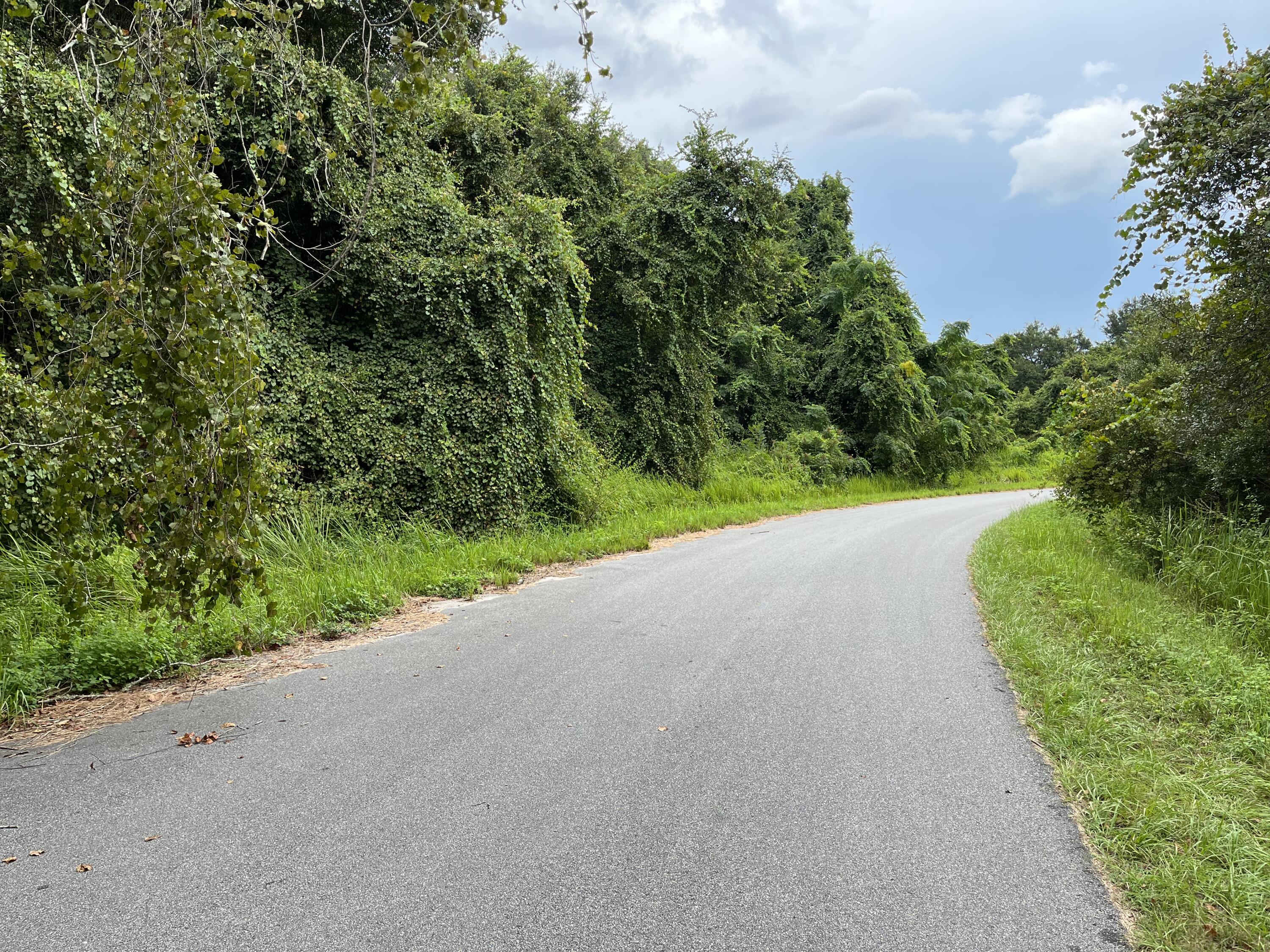 SILVER SPRINGS SHORES 28 - Land