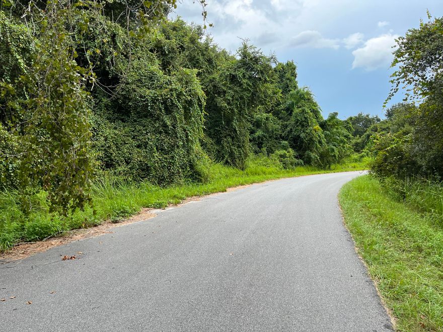 Looking to build your dream home away from the city noise but close enough to the city conveniences? Look no further! Close to just about everything. Located in Silver Springs Shores, east of Maricamp Road. This parcel is on a paved road and zoned for Single Family Dwelling site-built homes only. Power lines running through front of property. With many new homes in this area. Close to shopping, schools, and restaurants. Easy access to Ocala, Belleview, and the Villages Owner Financing available