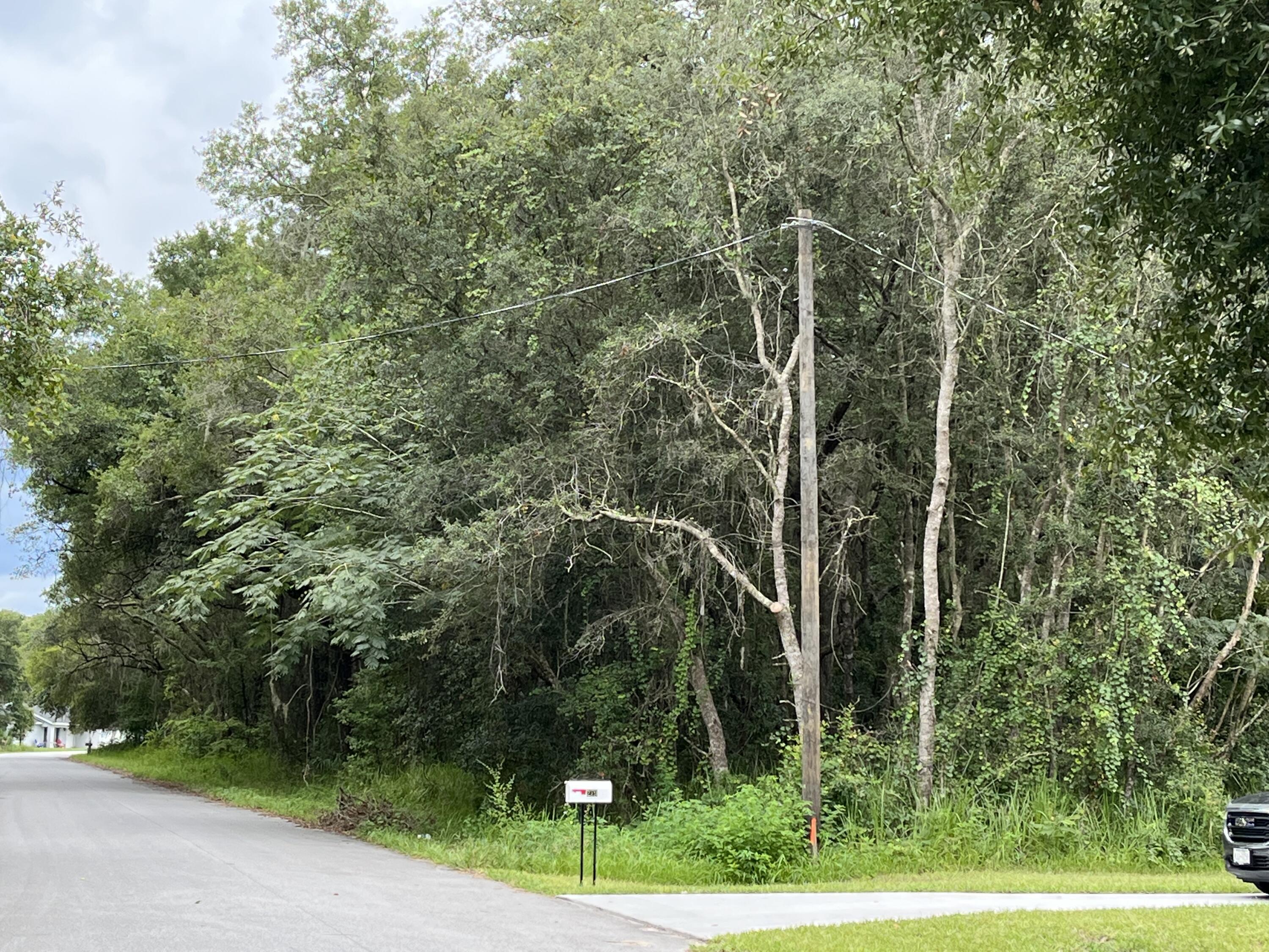 SILVER SPRINGS SHORES 28 - Land