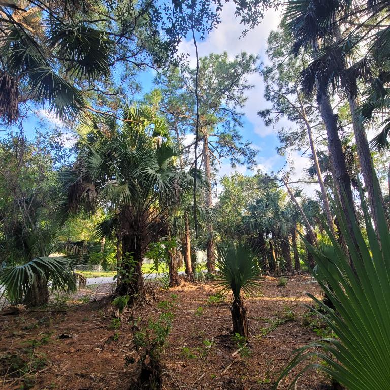 LAKEWOOD PARK UNIT 8 - Land