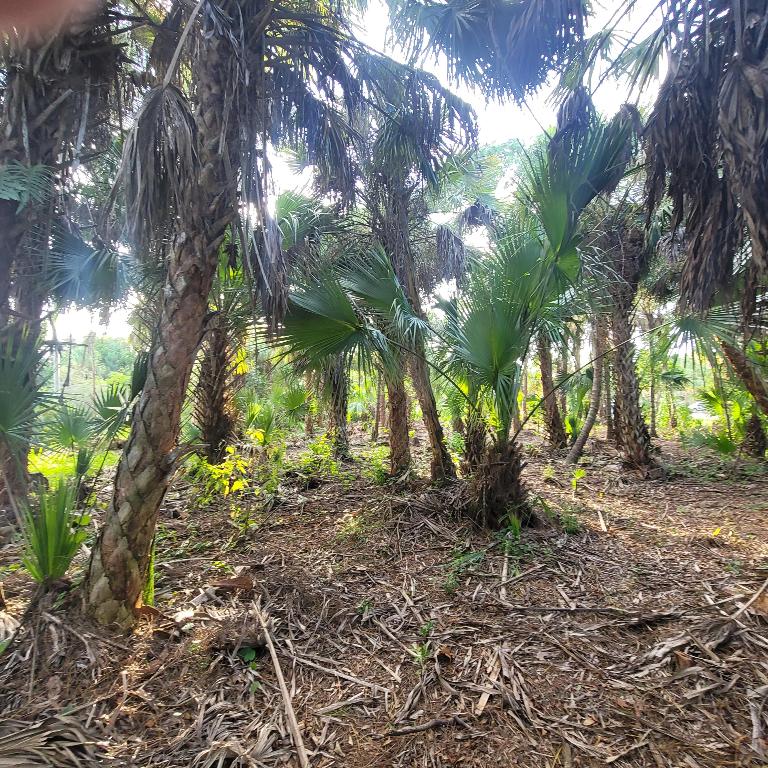 LAKEWOOD PARK UNIT 8 - Land