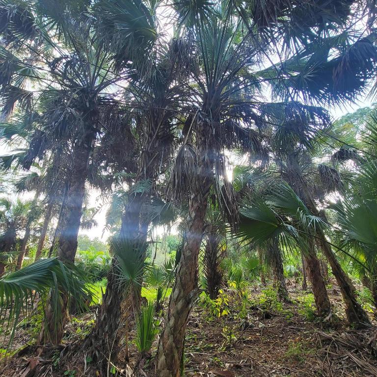 LAKEWOOD PARK UNIT 8 - Land