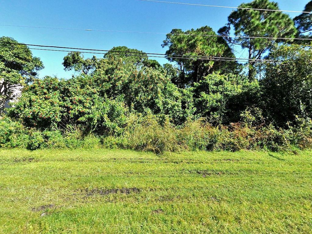 Photo of 156 SW Paar Drive, Port Saint Lucie, FL 34953 (MLS # F10454830)