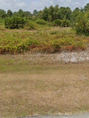 1995 CLAM DR, SEBRING, FL 33870 - Image 3163bce50daeb1024c8122a0e005d2e0/1744257716