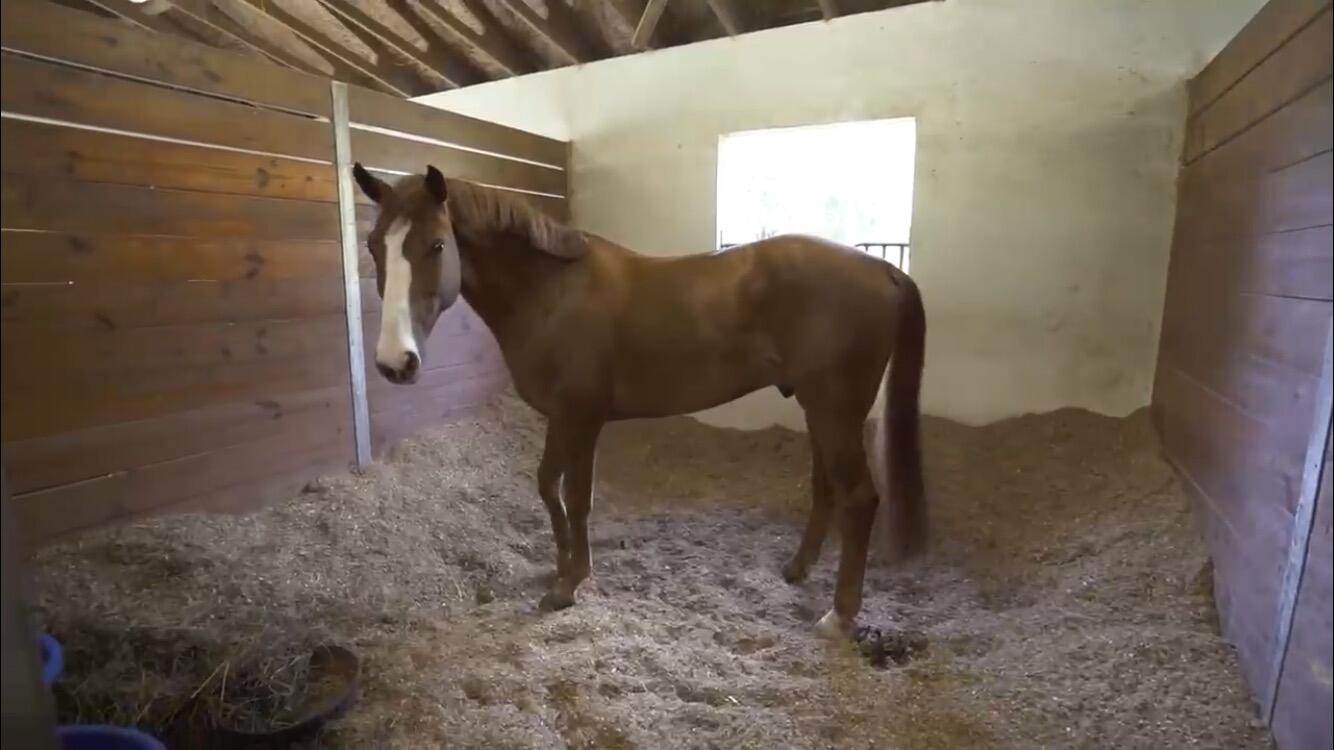 LOXAHATCHEE GROVES - Residential