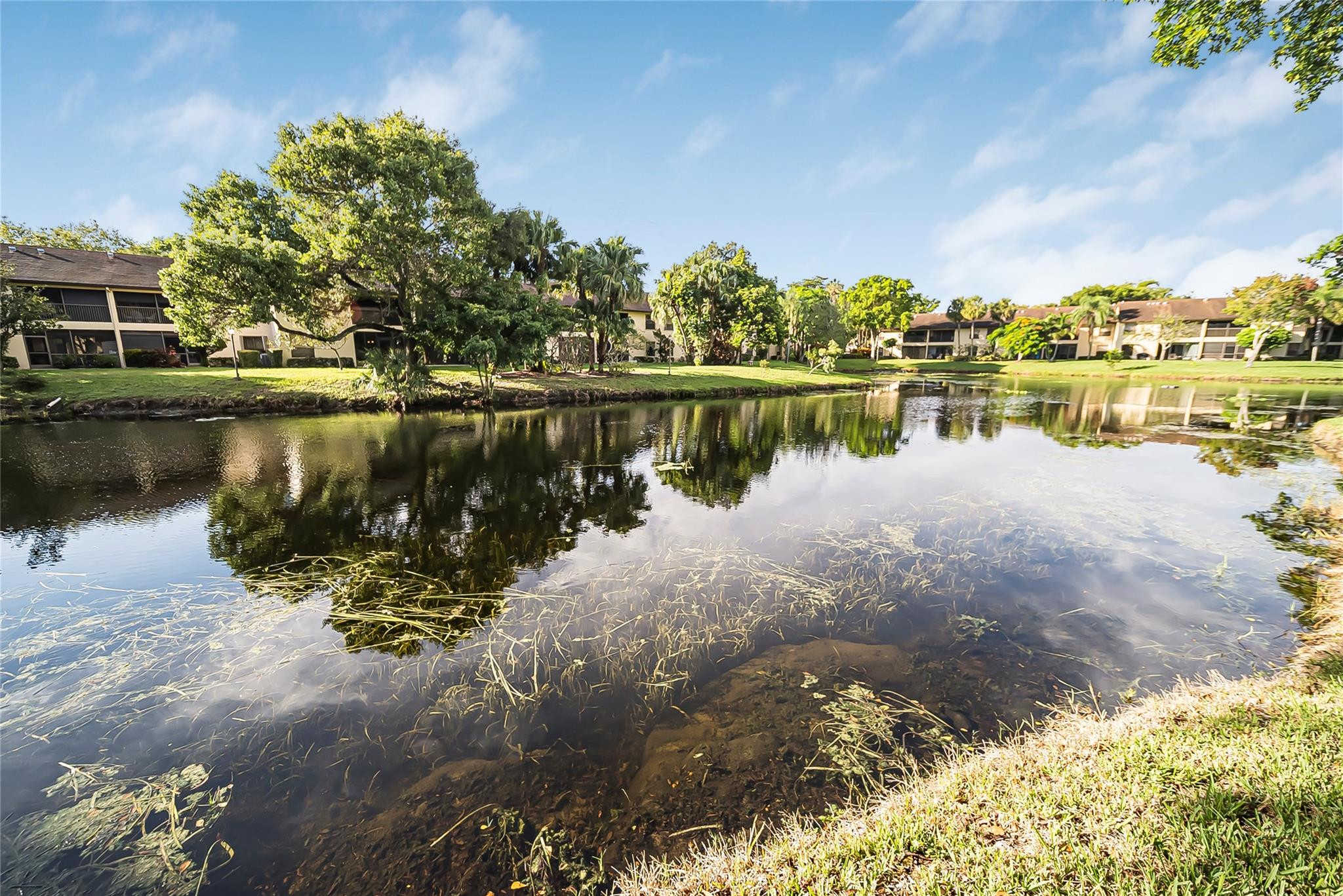 POND APPLE IV - Residential