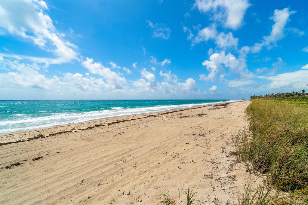 GEDNEY VS PIERSON - Residential