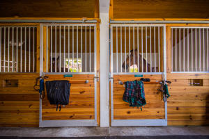 SADDLE TRAIL PARK OF WELL - Residential