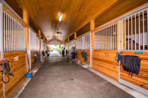 SADDLE TRAIL PARK OF WELL - Residential