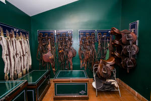 SADDLE TRAIL PARK OF WELL - Residential