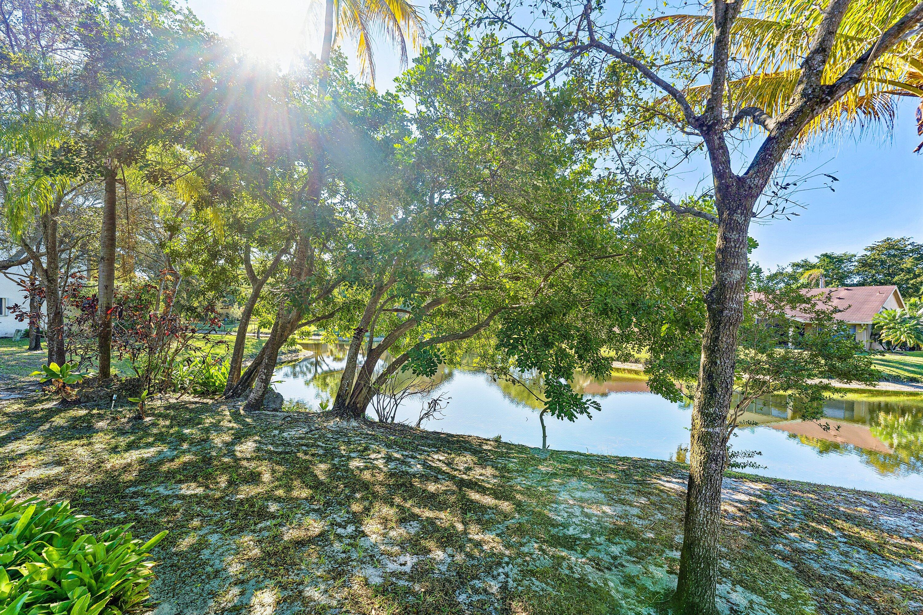 Golden Raintree - Residential