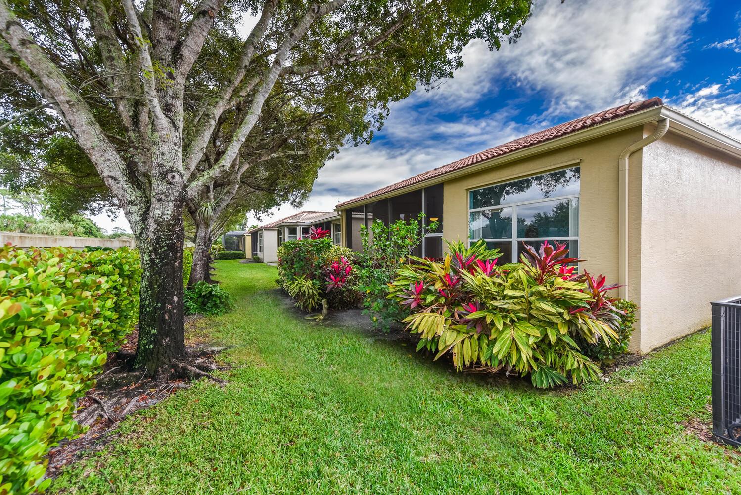 BUENA VIDA - Residential