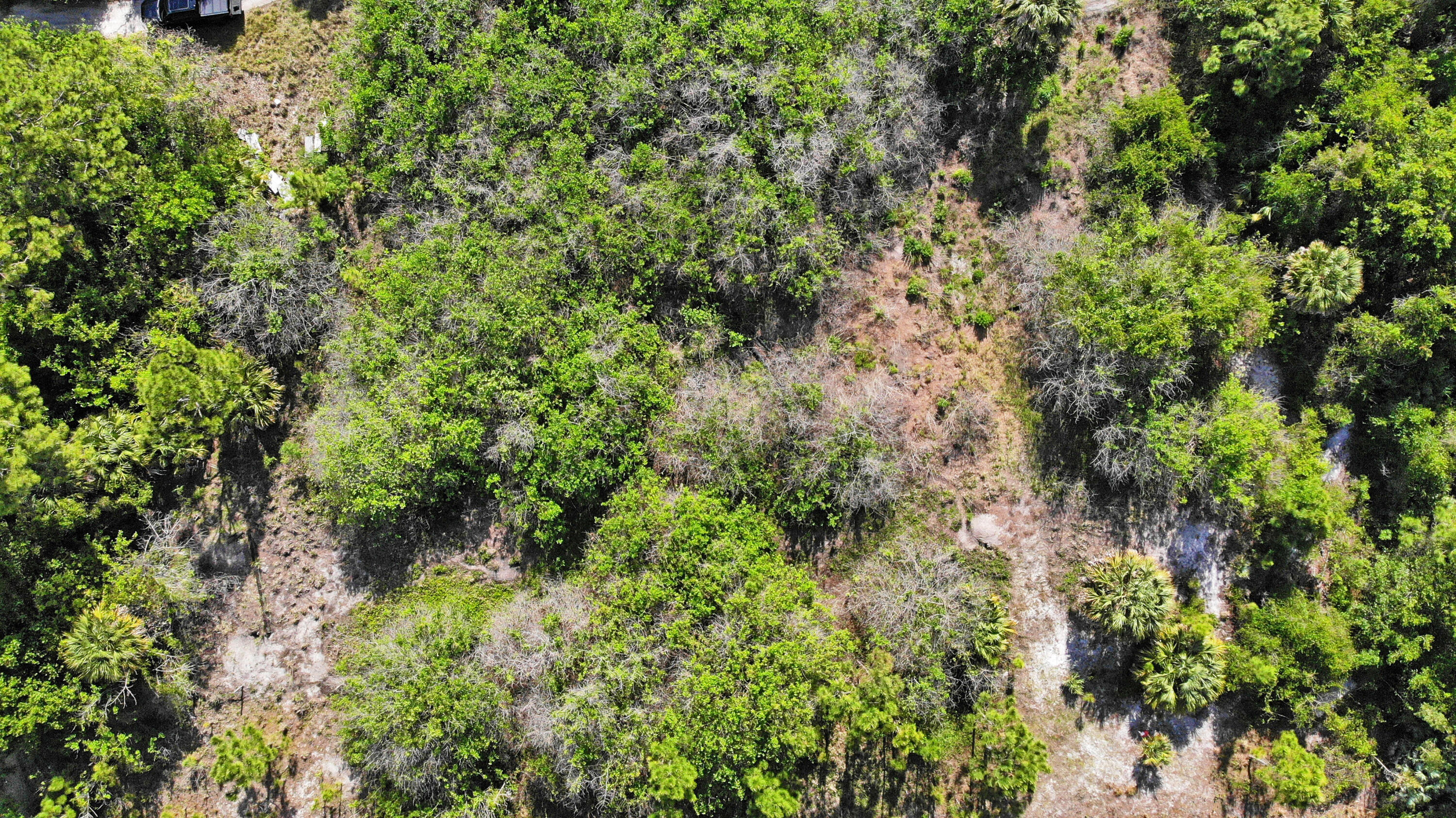 INDIAN RIVER ESTATES - Land