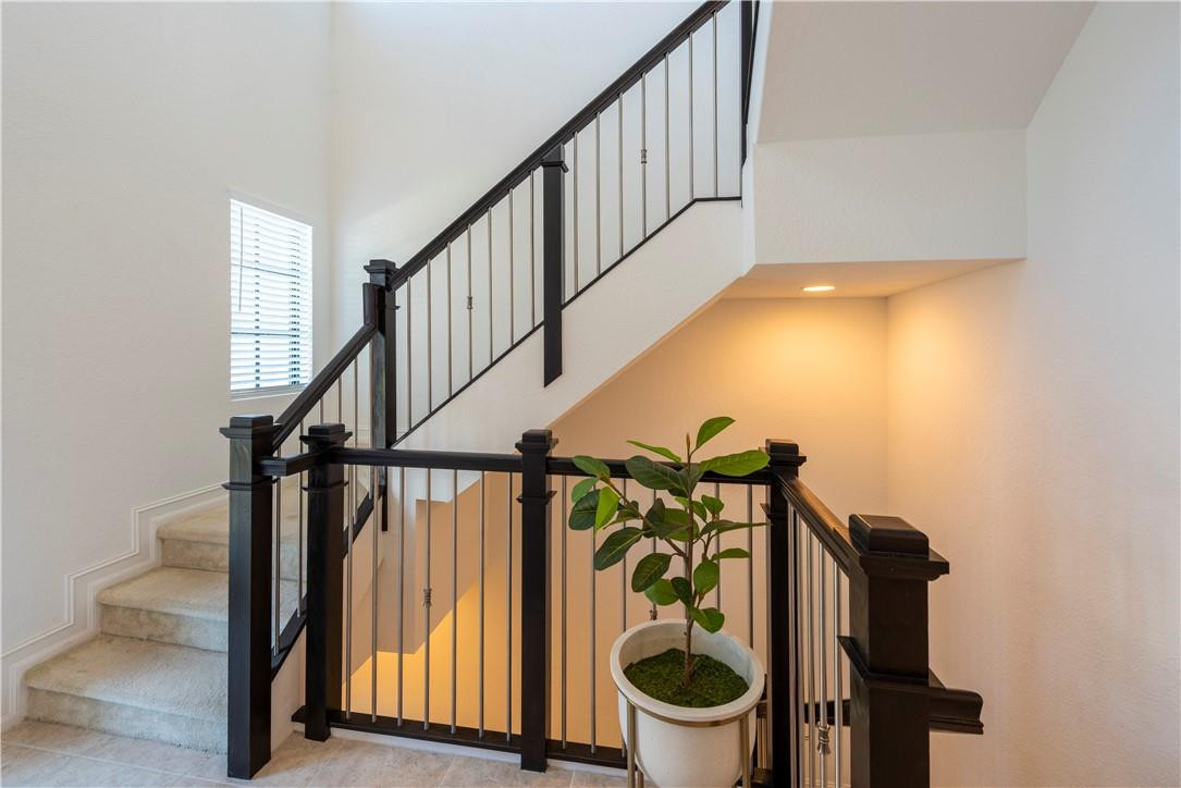 RAINTREE - Residential