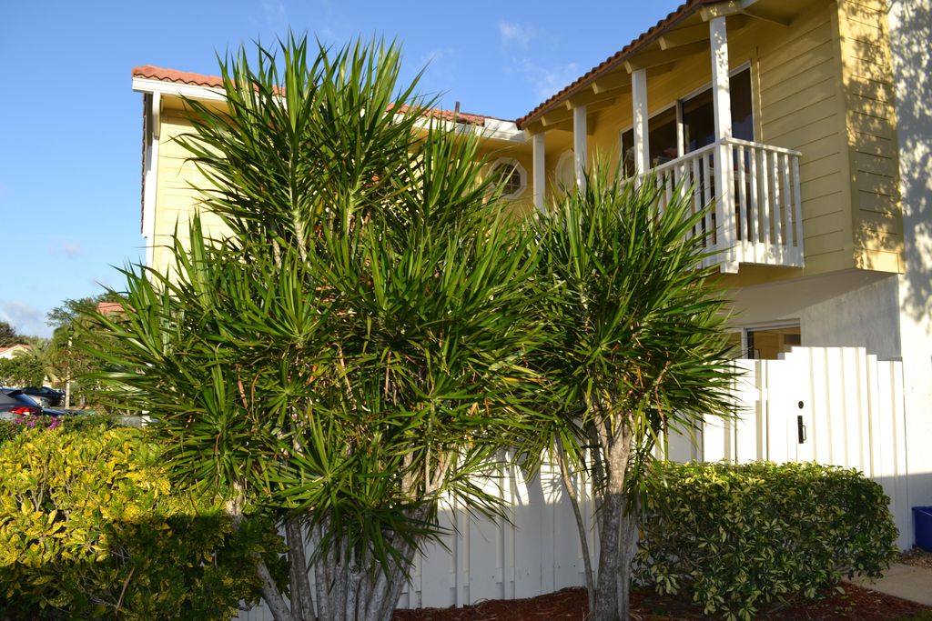 Photo of 176 Seabreeze Circle, Jupiter, FL 33477 (MLS # R11053864)