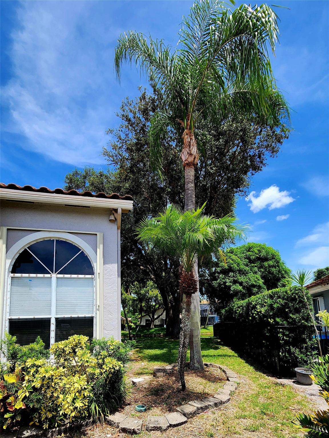6011 Citrine Ct