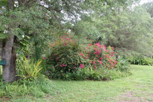 Jupiter- Jupiter Farms2.5 - Residential