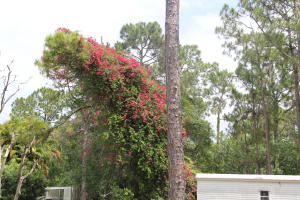 Jupiter- Jupiter Farms2.5 - Residential