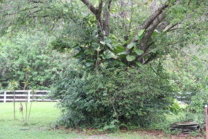 Jupiter- Jupiter Farms2.5 - Residential