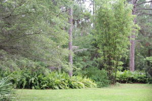 Jupiter- Jupiter Farms2.5 - Residential