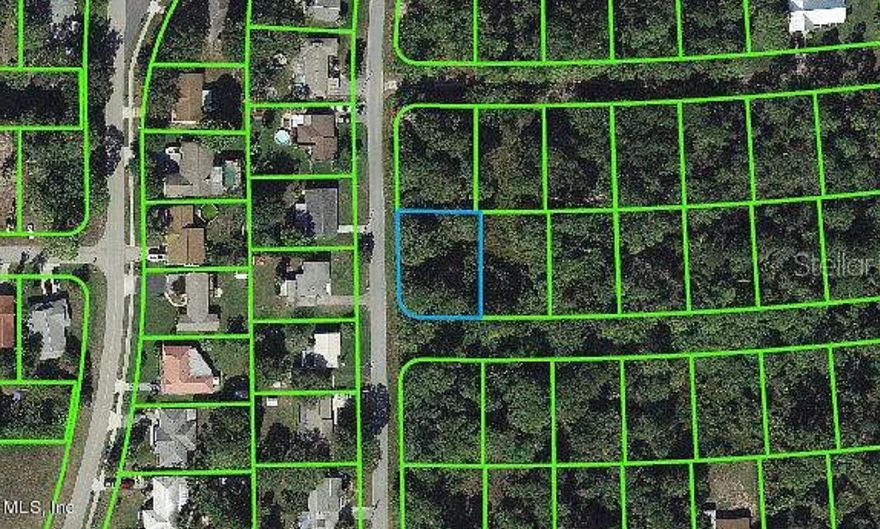 This CORNER lot is conveniently located one block away from Grassy Lake and a few minutes to downtown Lake Placid. It is close to the boat ramp, playground, and the golf course. Buying land in Florida is a solid investment for your future. Build your dream home, vacation home, rental investment or let the land build value as a great long-term investment. Lake Placid is a charming town located in South Central Florida and surrounded by dozens of lakes and ''old'' Florida.