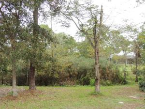 Acreage - Residential Lease