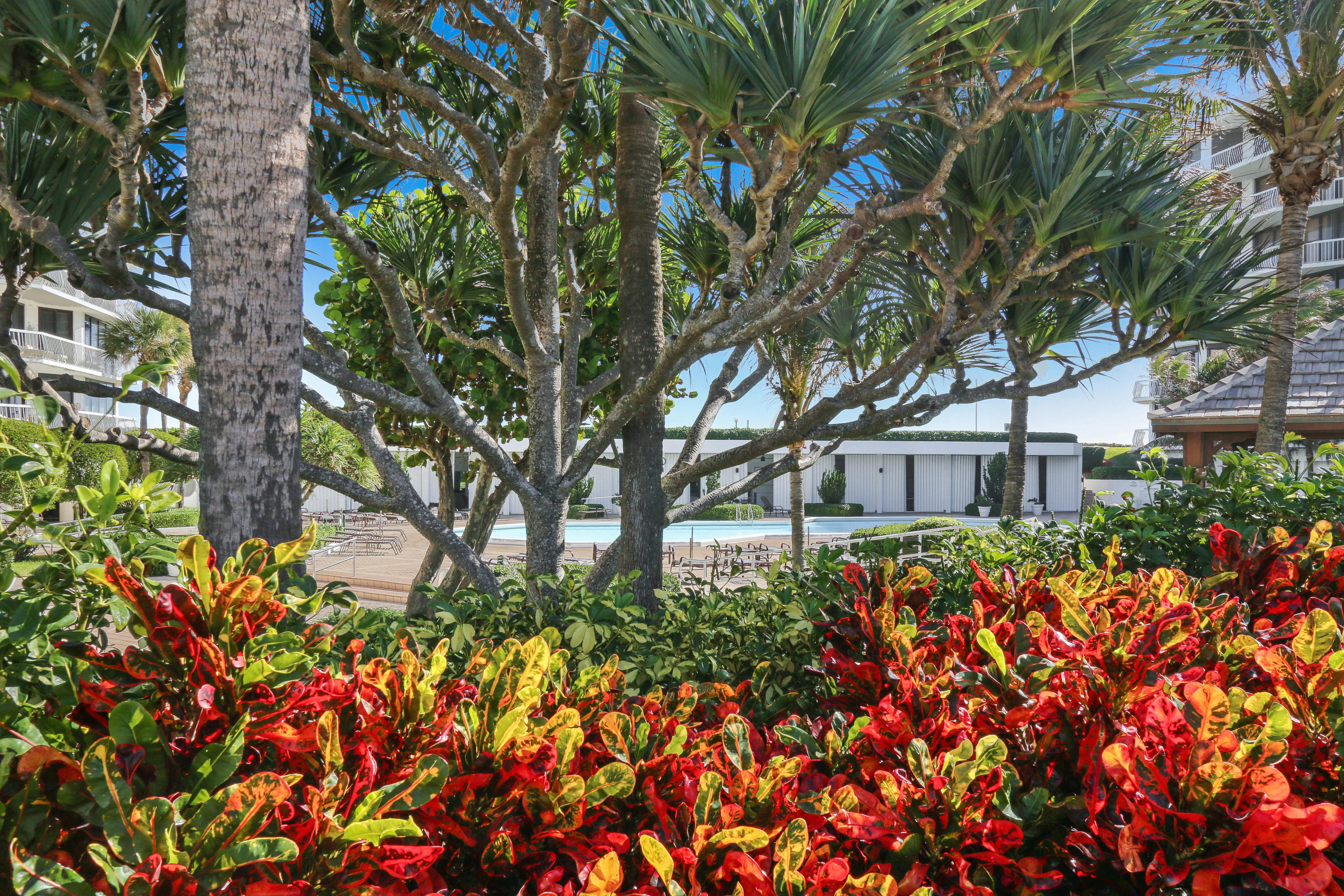 TWENTY ONE HUNDRED CONDO - Residential