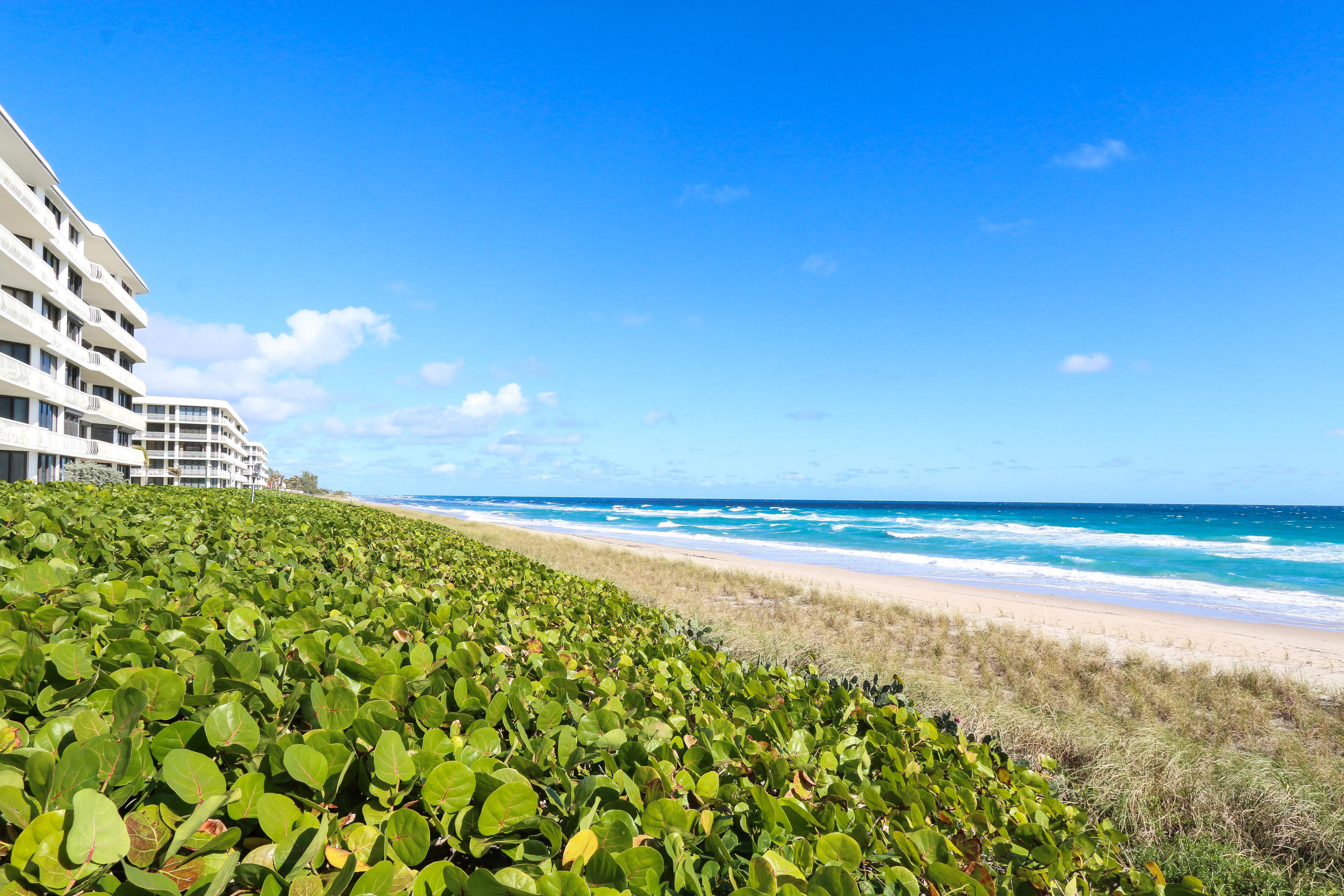 TWENTY ONE HUNDRED CONDO - Residential