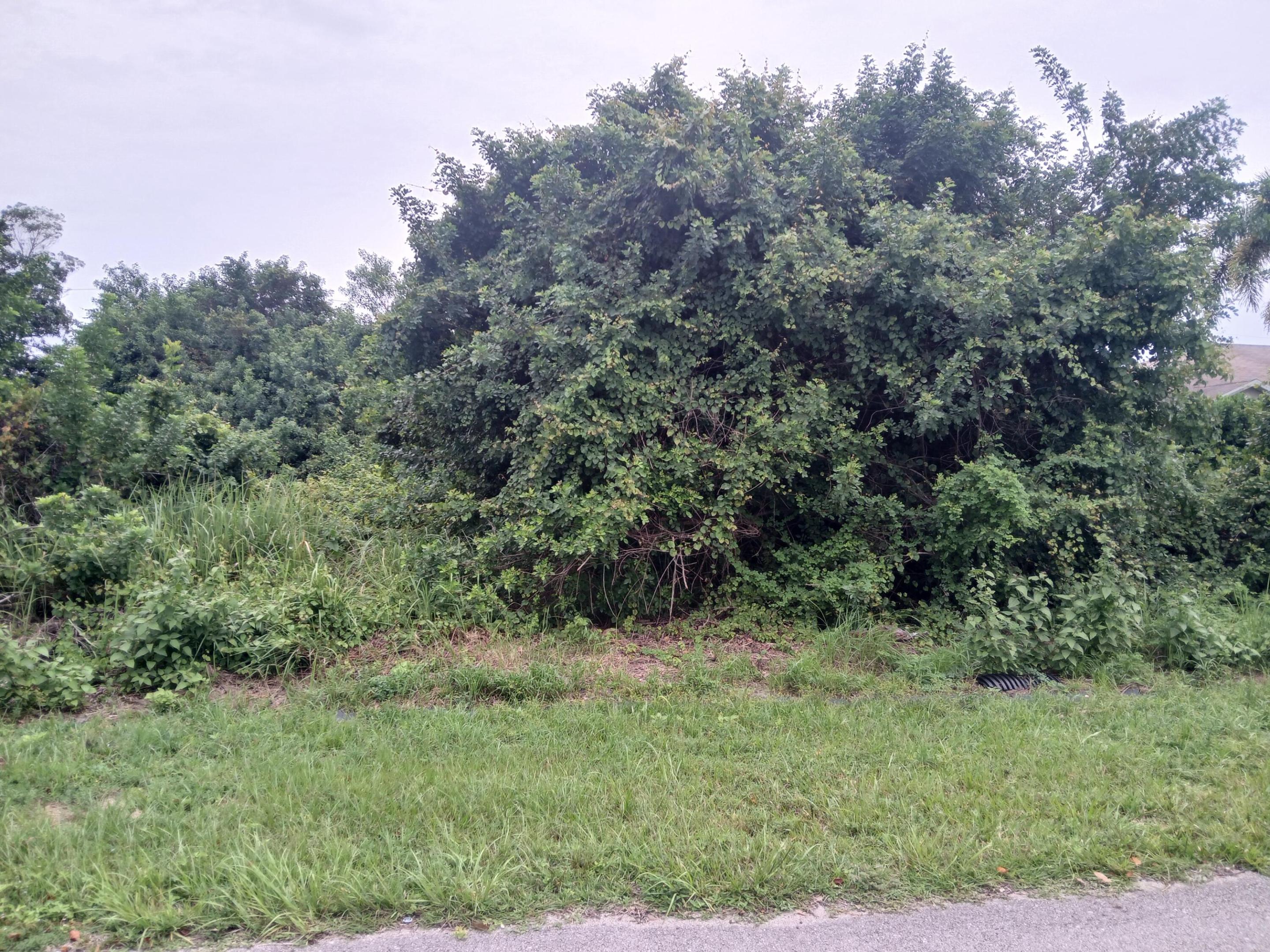 PORT ST LUCIE SECTION 33 - Land