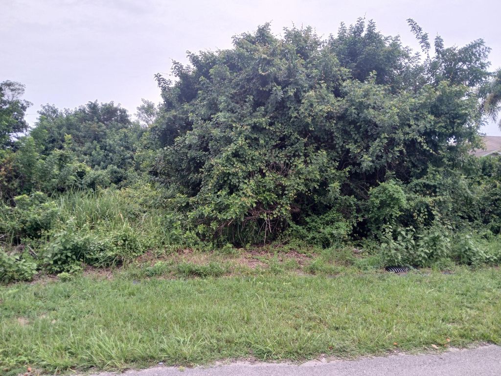 Photo of 4437 SW Cacao Street, Port Saint Lucie, FL 34953 (MLS # R11124775)