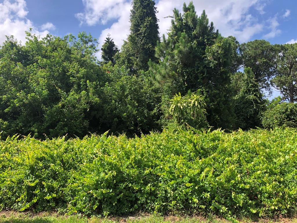 Photo of 6504 Bayard Road, Fort Pierce, FL 34951 (MLS # R10717810)