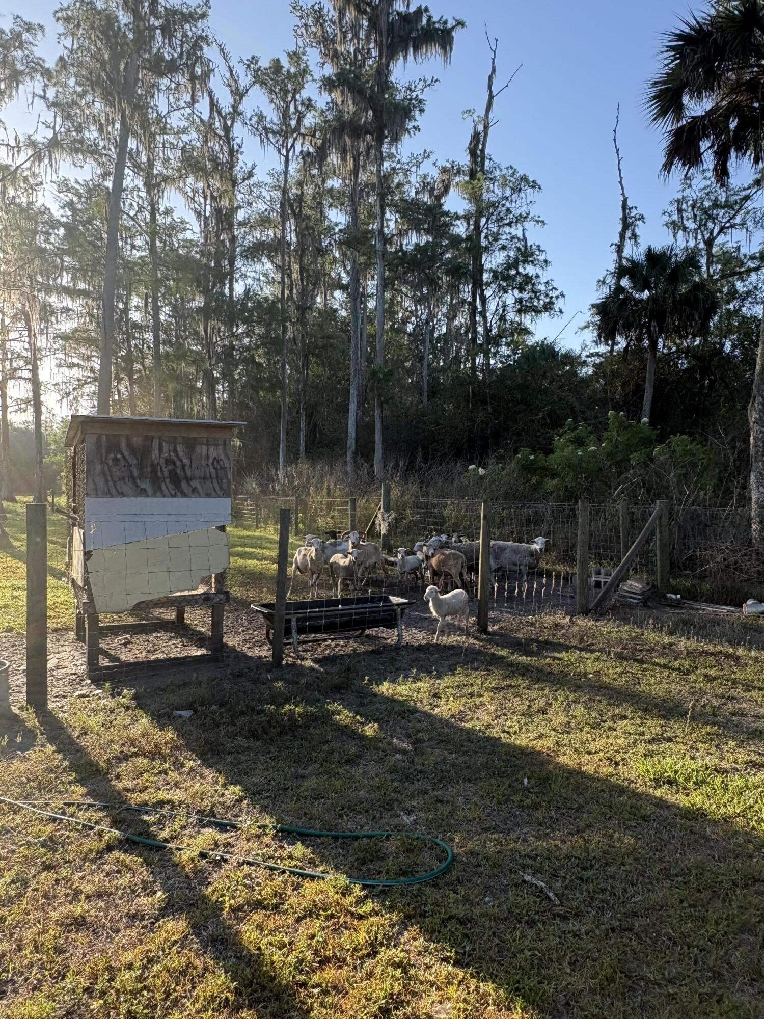 MONTURA RANCH UNREC SEC 15 - Residential