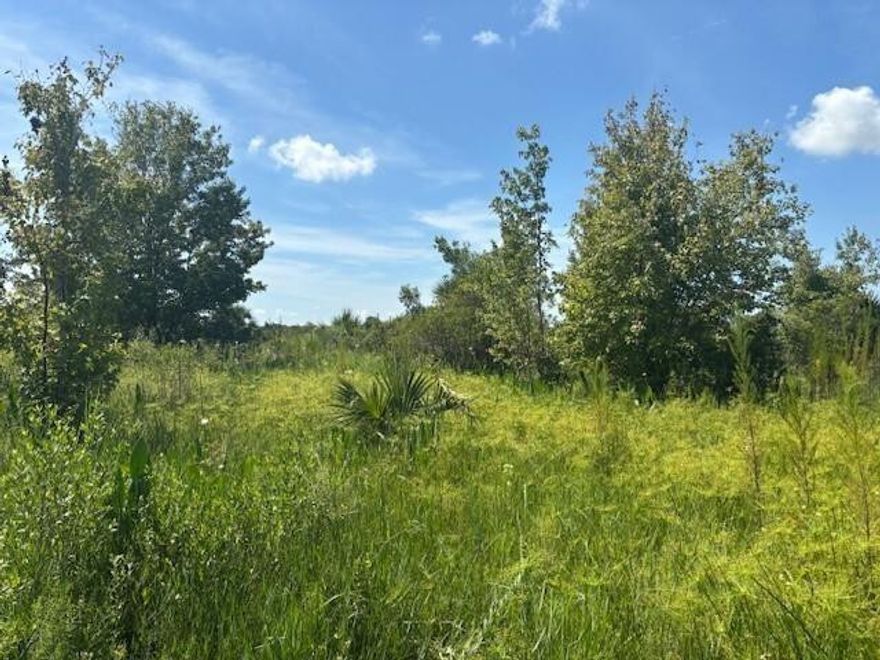 1.25 acre lot in Viking Estates. Close to the Kissimmee Prairie State Park. Bring your 4 -wheelers. This property is not only ideal for recreational uses such has camping, hunting and shooting, but it’s agricultural as well